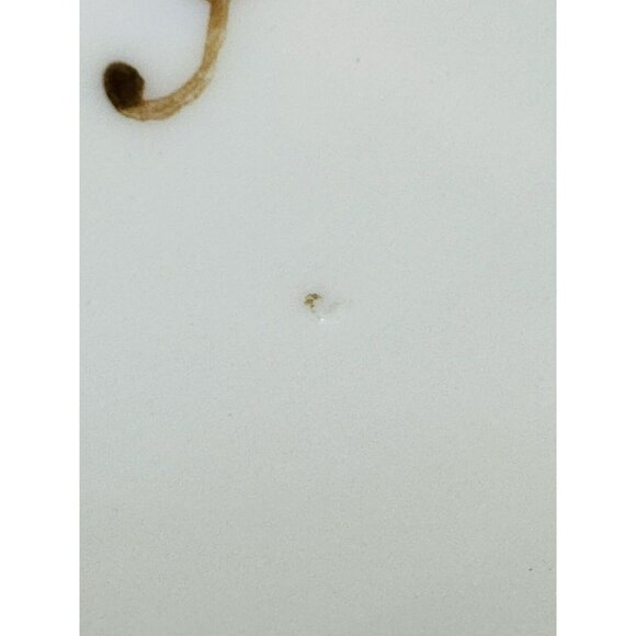 Noritake Pineapple Motif Border Floral Center Handled Cake Dinner Plate 9.5 inch - Picture 4 of 7